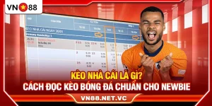 Kèo Nhà Cái Là Gì? Cách Đọc Kèo Bóng Đá Chuẩn Cho Tân Binh