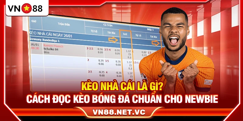 Kèo Nhà Cái Là Gì? Cách Đọc Kèo Bóng Đá Chuẩn Cho Tân Binh