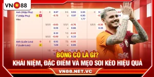 Bóng Cỏ Là Gì? Khái Niệm, Đặc Điểm Và Mẹo Soi Kèo Hiệu Quả