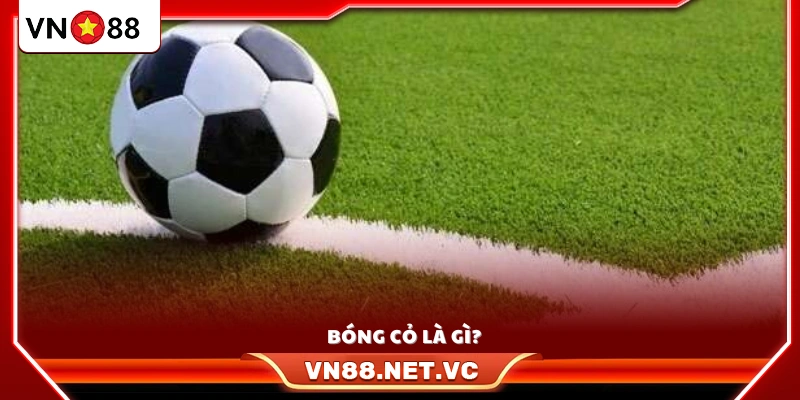 “Bóng cỏ”  - Thuật ngữ chỉ các trận đấu ở giải nhỏ