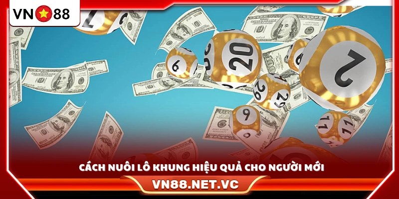 Hướng dẫn cách nuôi lô khung hiệu quả