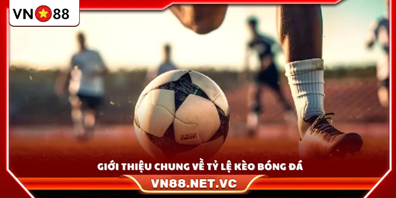 Tổng quan về tỷ lệ kèo bóng đá