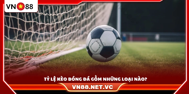 Phân loại các hình thức kèo bóng đá phổ biến